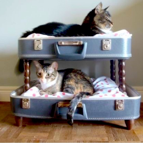 Hello hello! - Picture 8 of 9